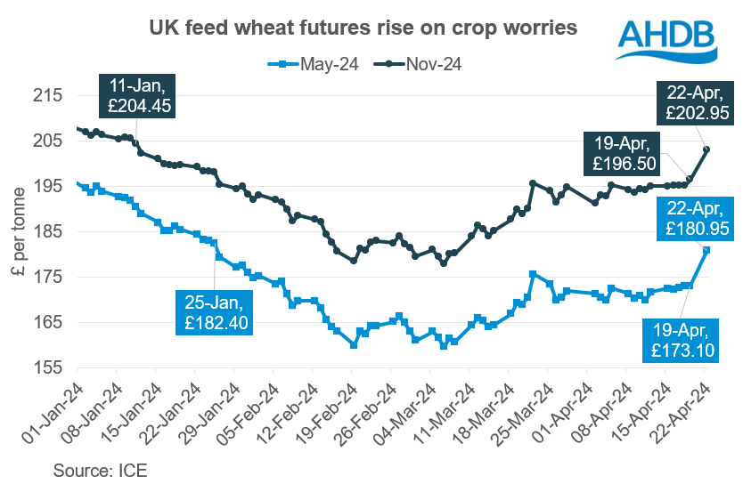 UK feed wheat futures graph 